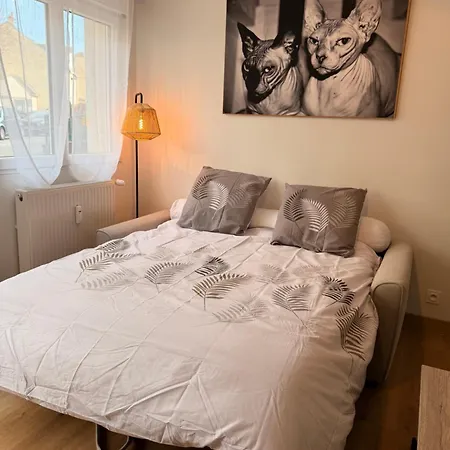 Lägenhet Cosy Au Coeur Du Mans Proche Centre-ville *