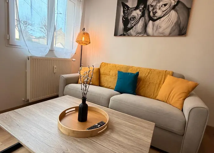 Cosy Au Cœur Du Mans Proche Centre-ville Appartement