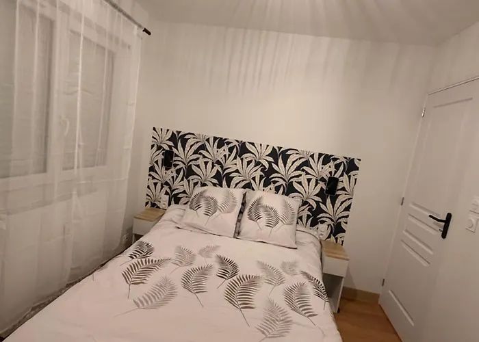 Appartement Cosy Au Cœur Du Mans Proche Centre-ville