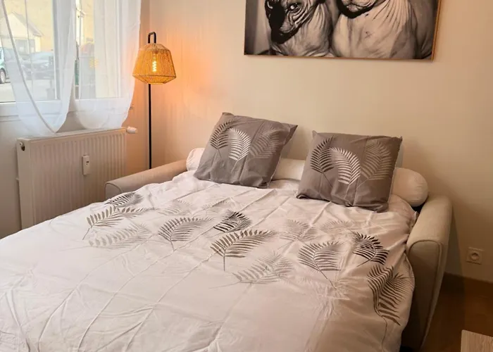 Appartement Cosy Au Cœur Du Mans Proche Centre-ville *